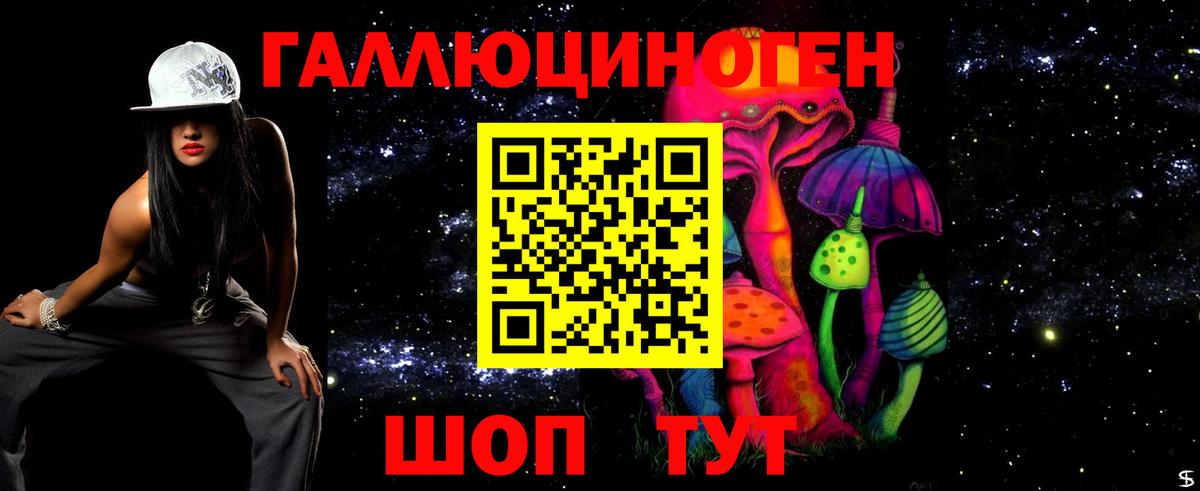 Галлюциногенные грибы Psilocybine cubensis Кумертау